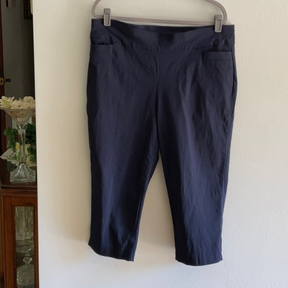 Navy crop pants